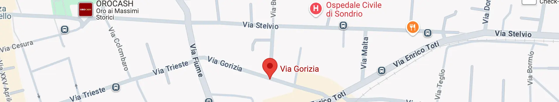 Servizio interpreti